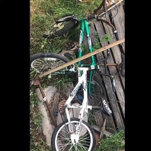 They just need new tires and new tubes